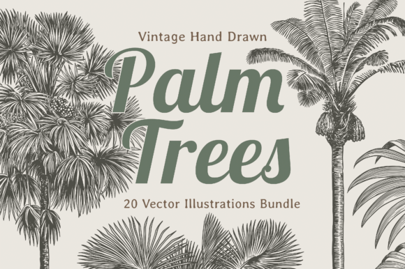 Palm Tree Graphics for Branding and Marketing